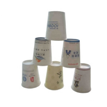 Hot Popular Best Selling Eco-Friendly Disposable Paper Cup